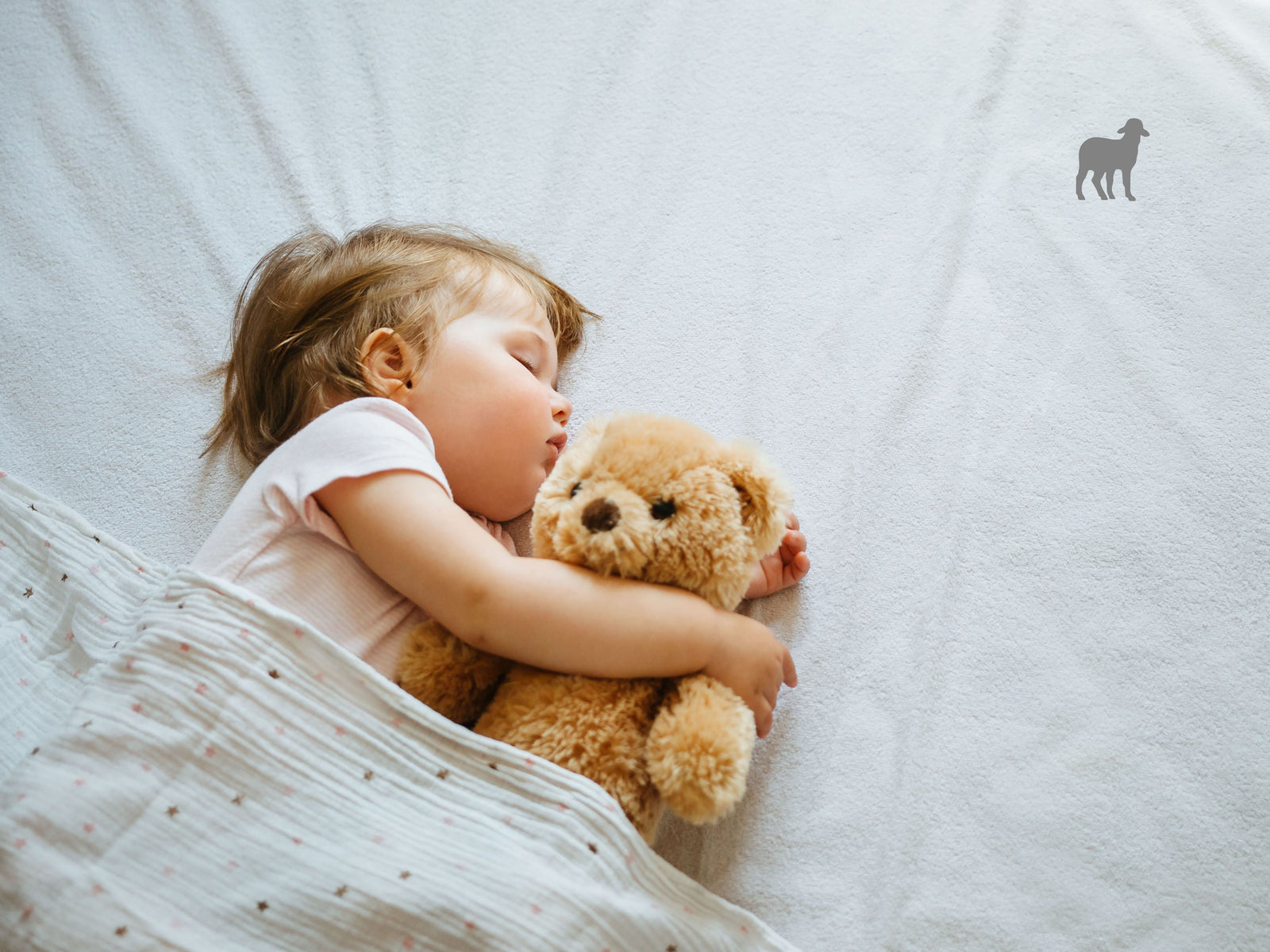 ¿Cuántas siestas debería tomar tu bebé según su edad?