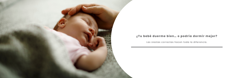 ¿Cuántas siestas debería tomar?